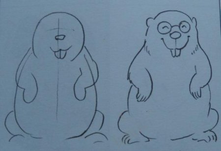 Поэтапное рисование бобра