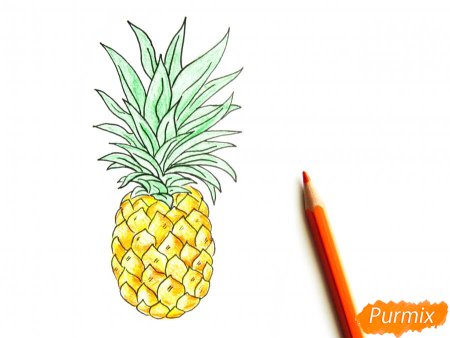 Ананас цветными карандашами