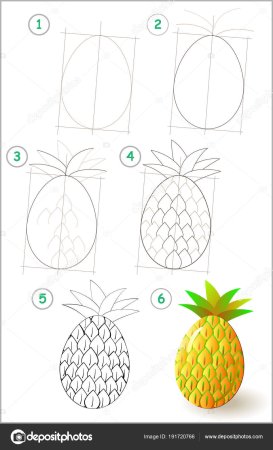 Поэтапное рисование ананаса