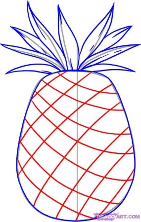 Ананас рисунок