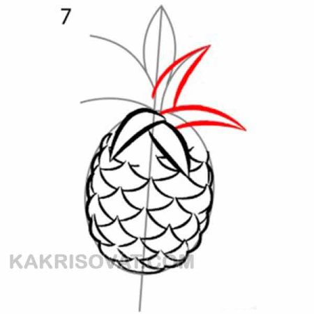 Нарисовать ананас поэтапно