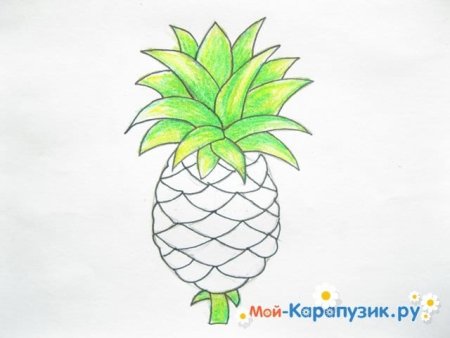 Нарисовать ананас поэтапно