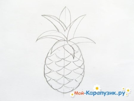 Рисование ананаса в старшей группе