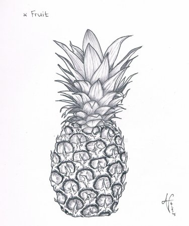 Ананас для срисовки