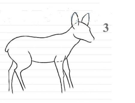 Нарисовать косулю поэтапно