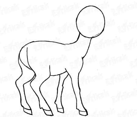 Поэтапное рисование косули