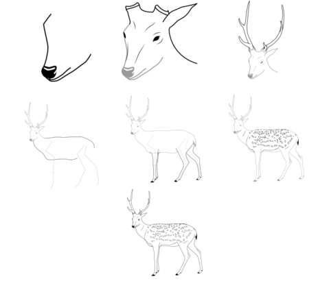 Поэтапное рисование головы оленя