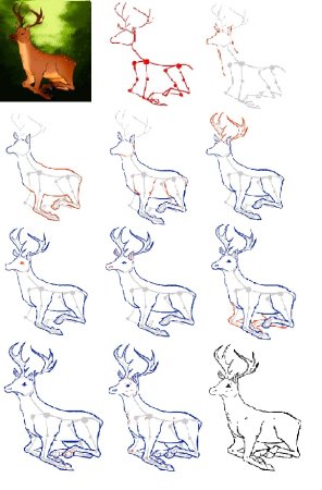 Поэтапный рисунок оленя