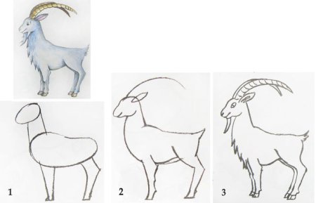 Поэтапное рисование козленка