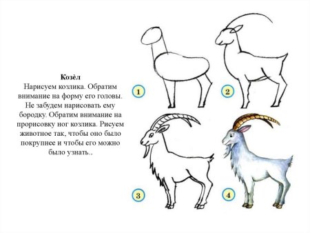 Как рисовать козу