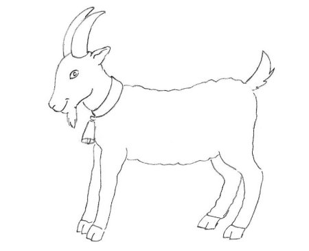Рисование коза в старшей группе