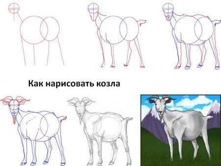 Нарисовать барана