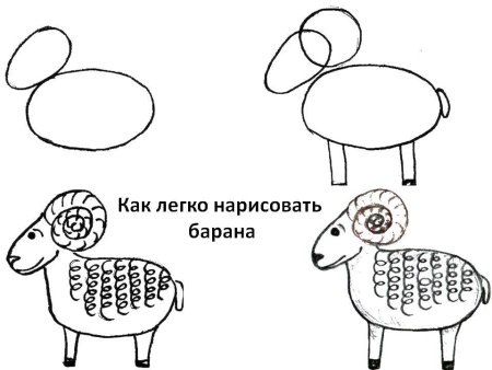 Рисунок козленка для детей карандашом