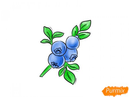 Черника рисунок