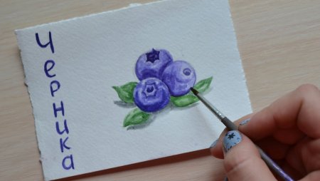 Голубика нарисованная
