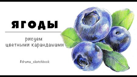 Черника рисунок для детей простой