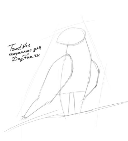 Поэтапный рисунок коршуна