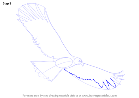 Орел рисунок пошагово