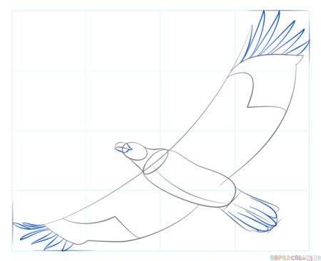 Поэтапное рисование орла карандашом
