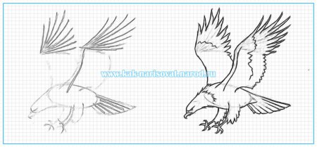 Рисование птицы пошагово