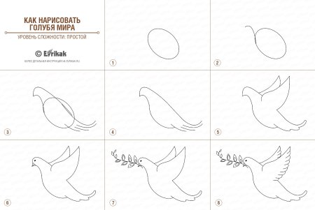 Поэтапное рисование птиц