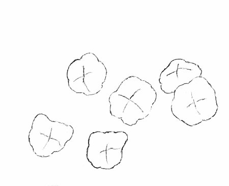 Морошка карандашом