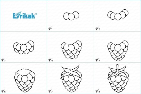 Малина рисунок для детей поэтапно