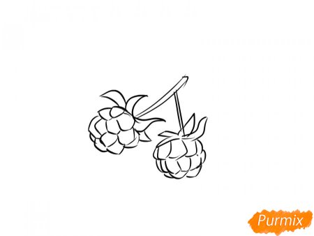 Раскраска ягода Морошка для детей