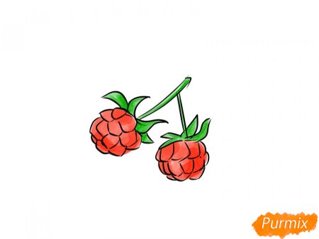 Как рисовать морошку