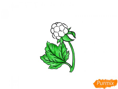Лист морошки рисунок