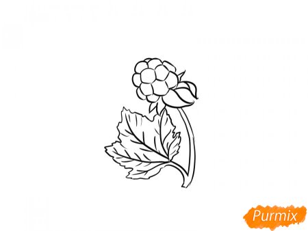 Морошка рисунок карандашом для детей