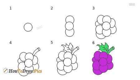 Поэтапное рисование винограда