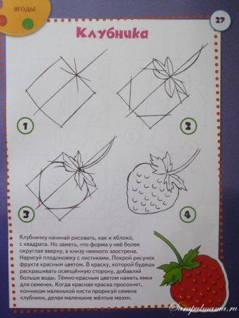 Поэтапное рисование ягод