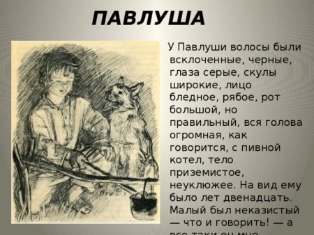 Павлуша Бежин луг портрет