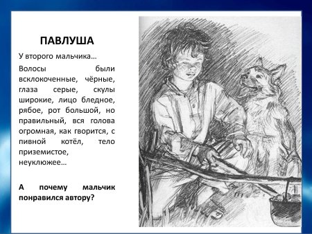 Павлуша Бежин луг