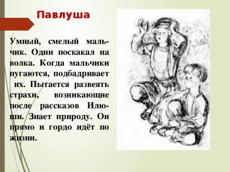 Описание Павлуши из рассказа