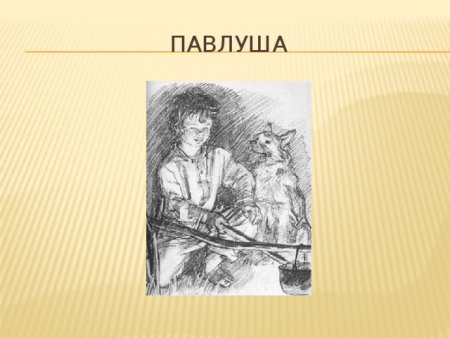 Иллюстрация Бежин луг Павлуша