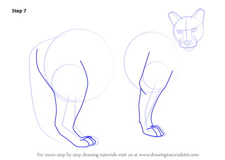 Как нарисовать пуму карандашом поэтапно