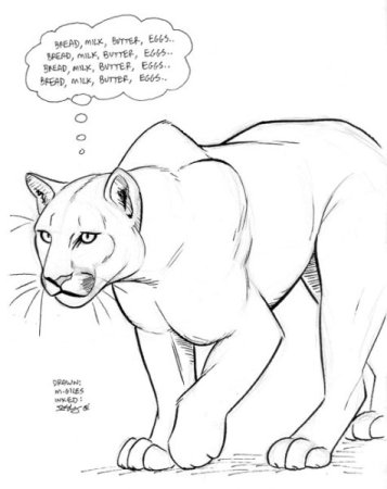 Пума карандашом