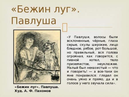 Бежин луг характер Павлуши