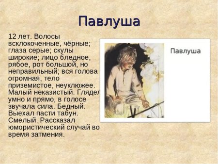 Описание мальчиков из рассказа Бежин луг 6