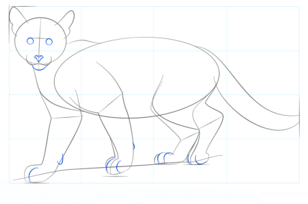 Схема рисования Пумы