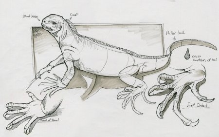 Рисунок игуаны легкий