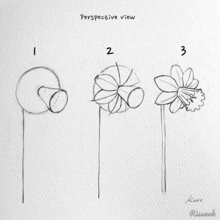 Схемы рисования цветов