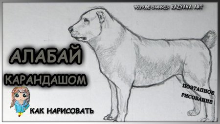Алабай карандашом