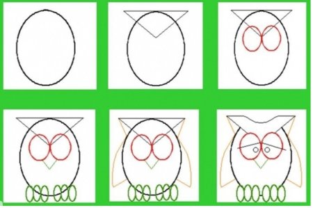 Пошаговое рисование Совы