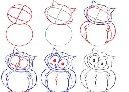 Схема рисования Совы