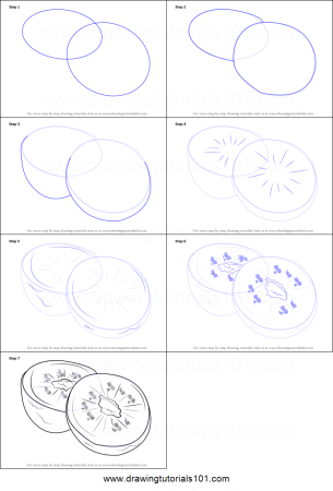 Как нарисовать киви поэтапно