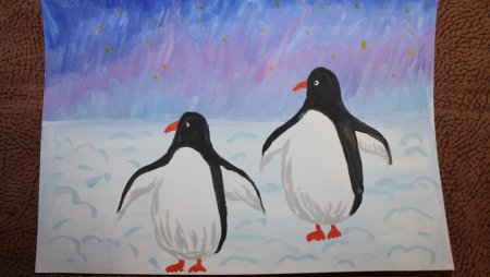 Рисование пингвины в подготовительной группе Колдина