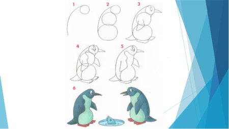 Этапы рисования пингвина